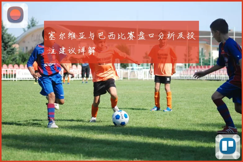 塞尔维亚与巴西比赛盘口分析及投注建议详解