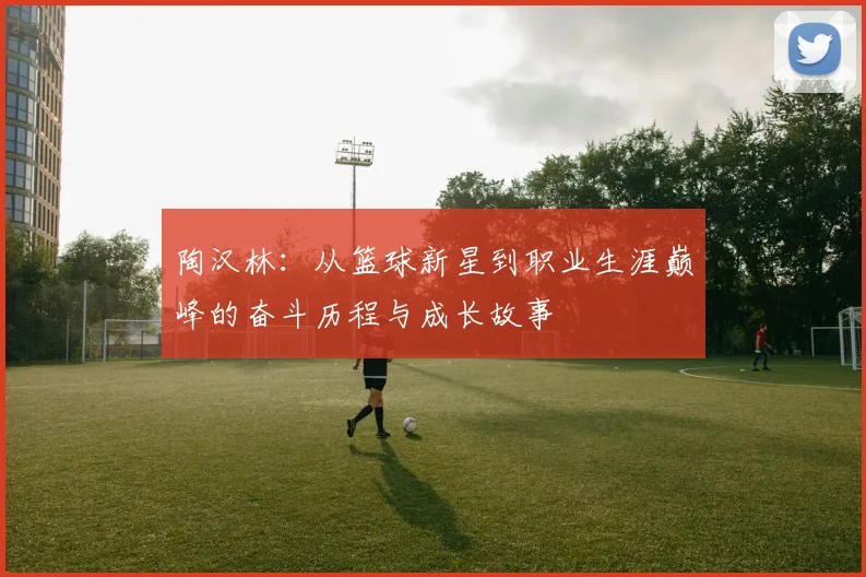 陶汉林：从篮球新星到职业生涯巅峰的奋斗历程与成长故事